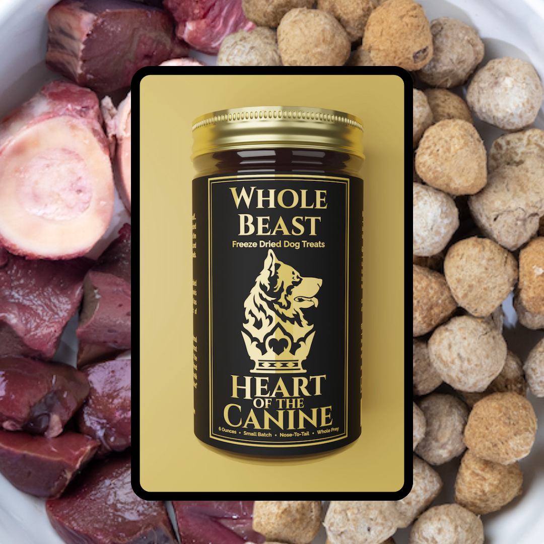 Small Batch Dog Food Why it Matters Heart of the Canine