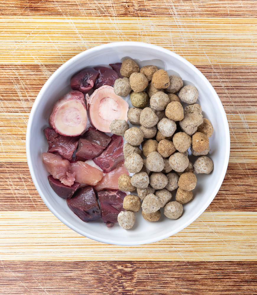 Healthy and Lean Treats for Dogs: The Best Options for Your Canine